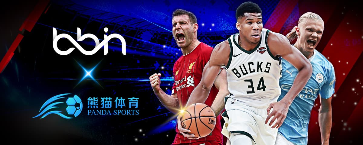 现尤为亮眼